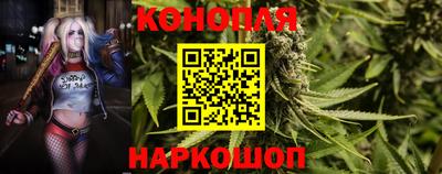 эйфоретик Краснодар