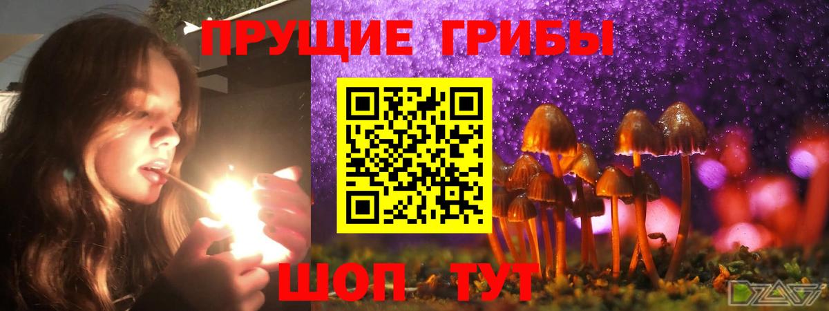 Псилоцибиновые грибы GOLDEN TEACHER Ессентуки